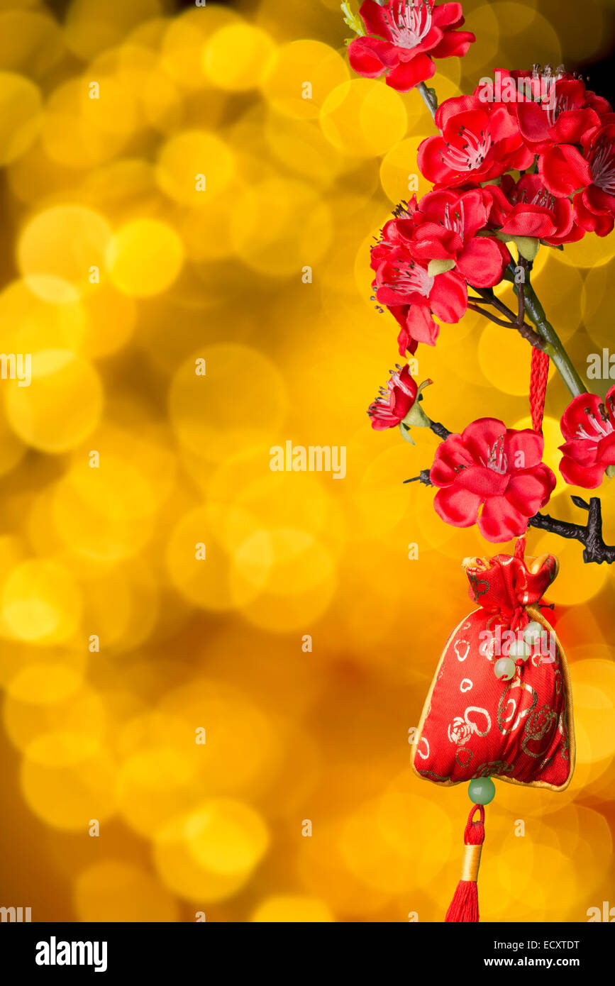 Chinesisches Neujahr Dekoration für Spring festival Stockfoto