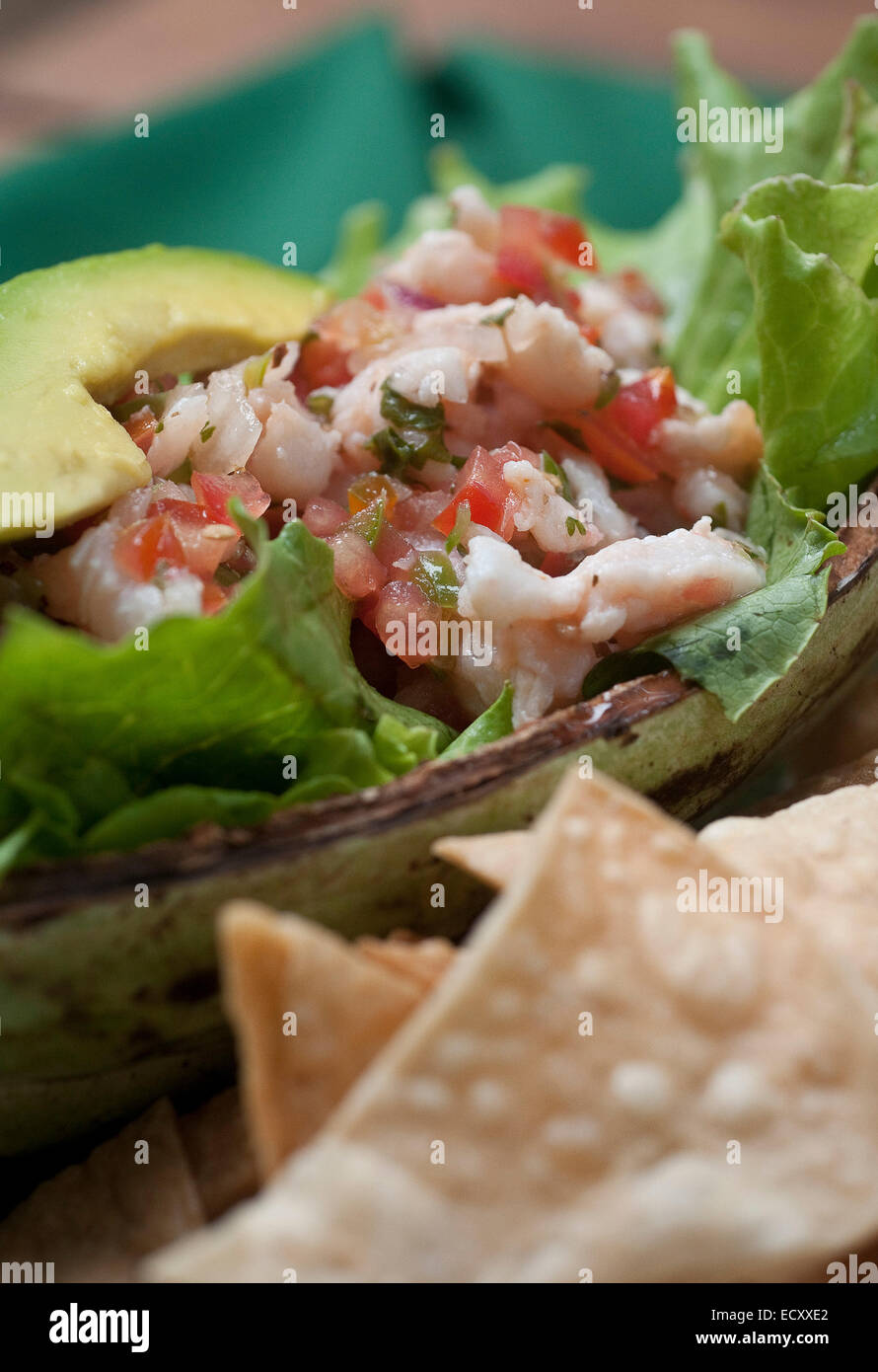 El Pino, Atlaneida, Honduras. 2. Mai 2013. 01.05.2014 la Ceiba, Honduras. Frische Ceviche mit Fisch, Garnelen und Hummer in der Lodge am Pico Bonita, befindet sich am Rande des Pico Bonita nationaler Parcque, eines der größten und am weitesten entfernten Parks in Honduras. Die bergige Regenwald ist Heimat von mehr als 400 Vogelarten im Laufe des Jahres. Gelegen in der Nähe von der Karibikküste und am Fuße des größten Berges Länder, ist es eine Winter-Destination für viele nordamerikanische Zugvogelarten. © Ralph Lauer/ZUMA Draht/Alamy Live-Nachrichten Stockfoto