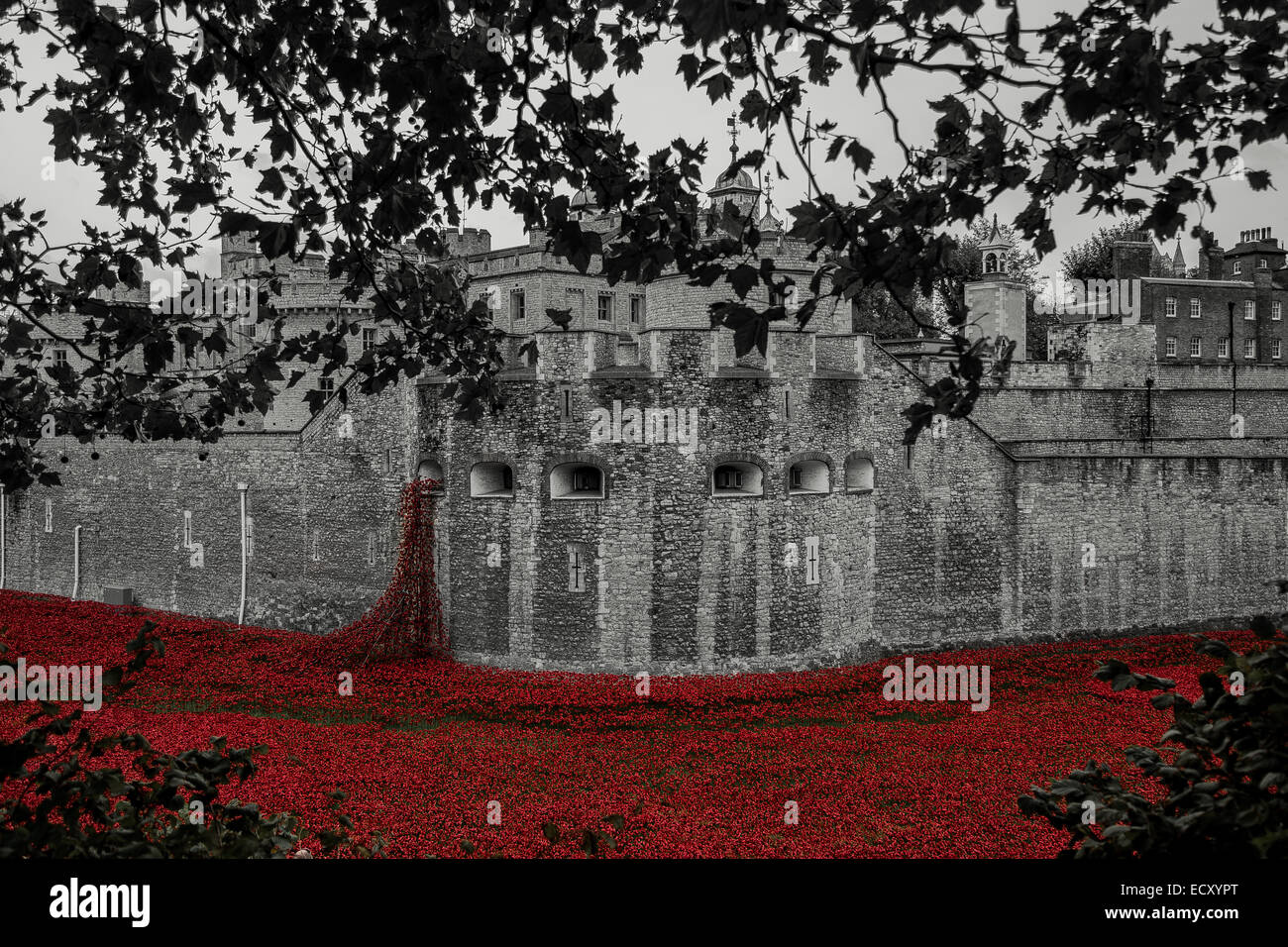 Die Mohnblumen am Tower of London zur Erinnerung an den 1. Weltkrieg Stockfoto