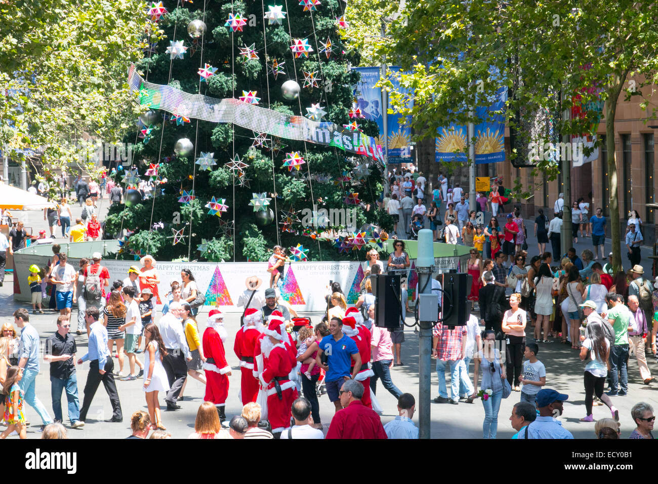 Sydney, Australien. 22. Dezember 2014. Während Sydneysiders lassen Sie Blumen in Martin Place weiterhin, beherbergt das westliche Ende der Fußgängerzone der Stadt Weihnachtsbaum und Versionen von Santa Claus. Bildnachweis: Martin Beere/Alamy Live News Stockfoto