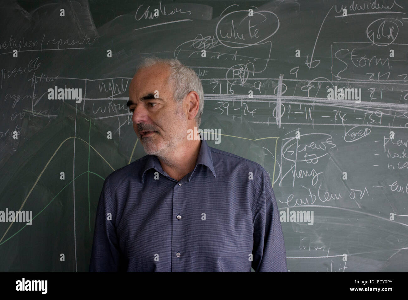 Porträt der Mathematiker und Risiko-Guru, Professor Sir David Spiegelhalter mit Blackboard Funktionsweise der Wahrscheinlichkeit (Beschreibung) Stockfoto