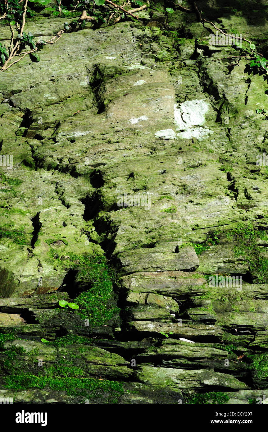 Pilger überqueren Nevern Pembrokeshire Wales Cymru UK GB Stockfoto