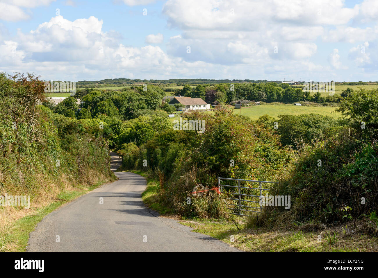 Landschaft mit einer kleinen Landstraße biegen zwischen grünen Hecken in üppigen Hügellandschaft im Sommer helle Licht gedreht Stockfoto