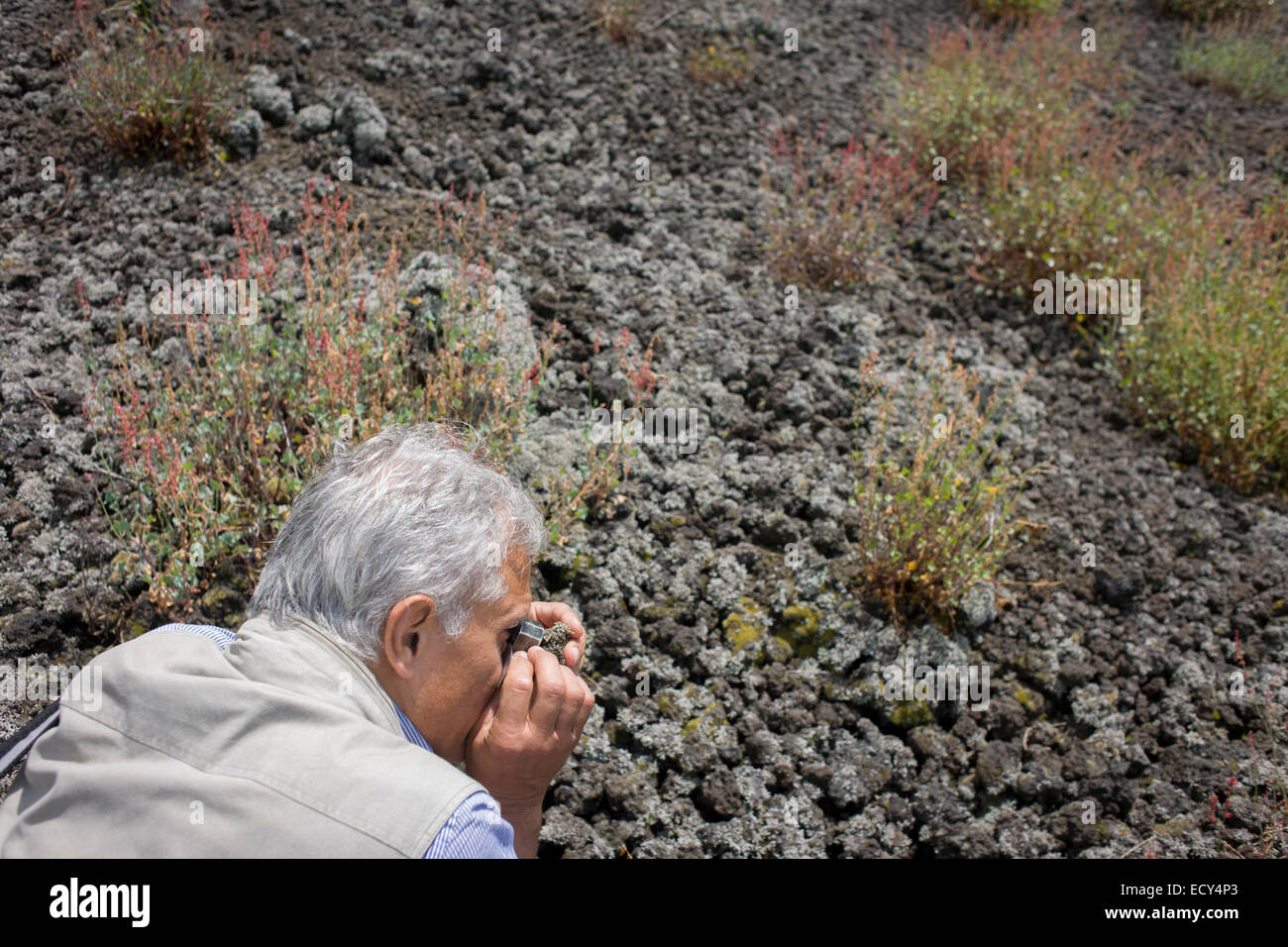 Giuseppe Mastrolorenzo, Vulkanologe mit Osservatorio Vesuviano und führende Autorität auf lokalen Geologie (siehe Beschreibung). Stockfoto