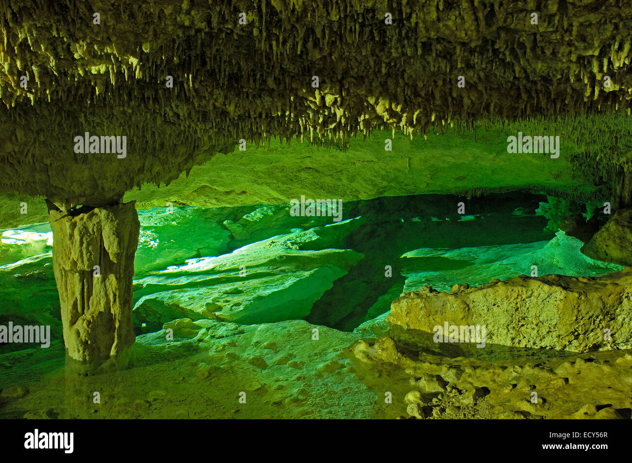 Cenote, Doline, Hidden Worlds Cenotes Park, Tulum, Quintana Roo Zustand, Riviera Maya, Halbinsel Yucatan, Mexiko Stockfoto