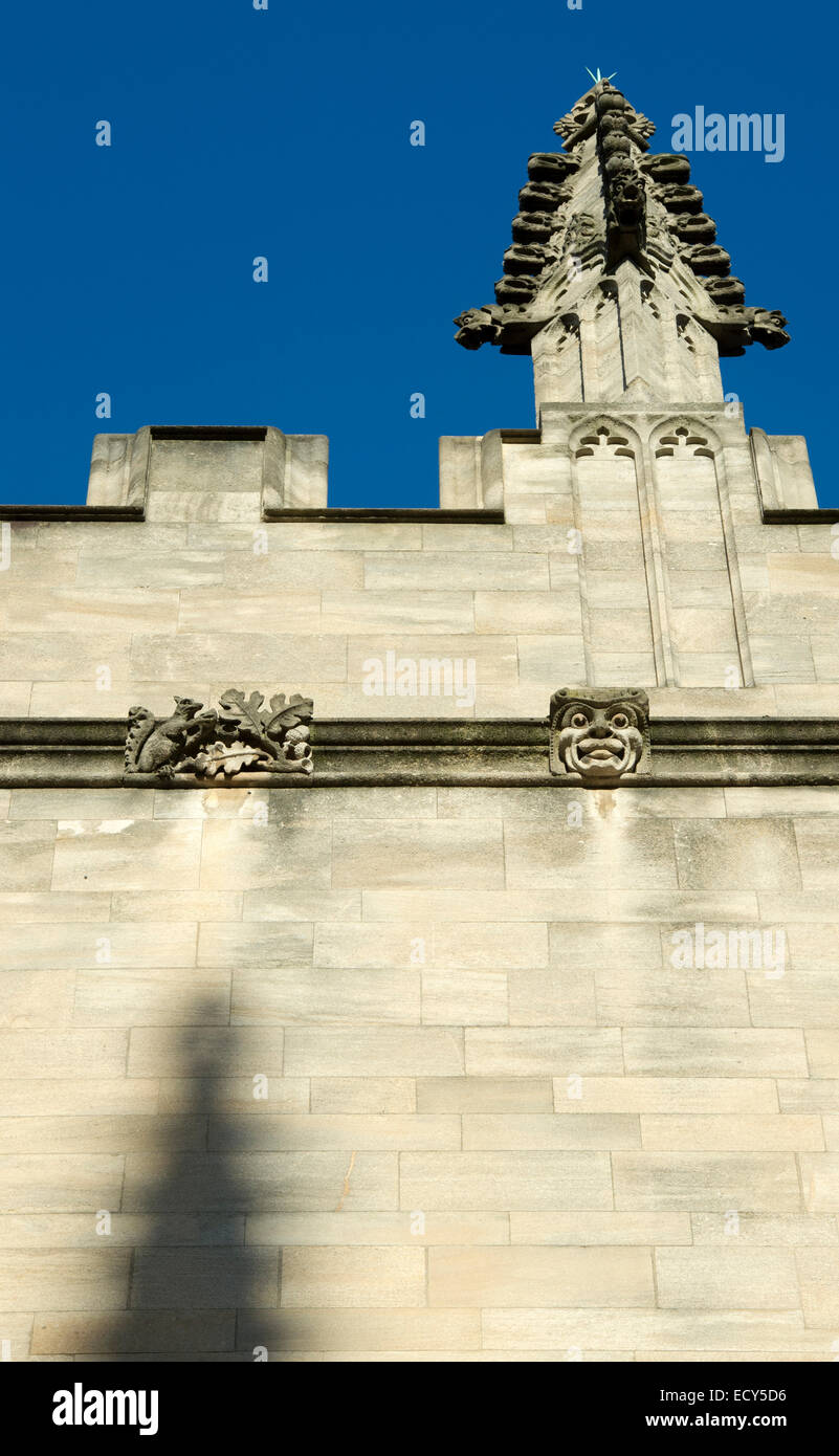 Bau, Architektur und Steinmetzarbeiten in Schulen Viereck, Bodleian Library, Oxford, England Stockfoto