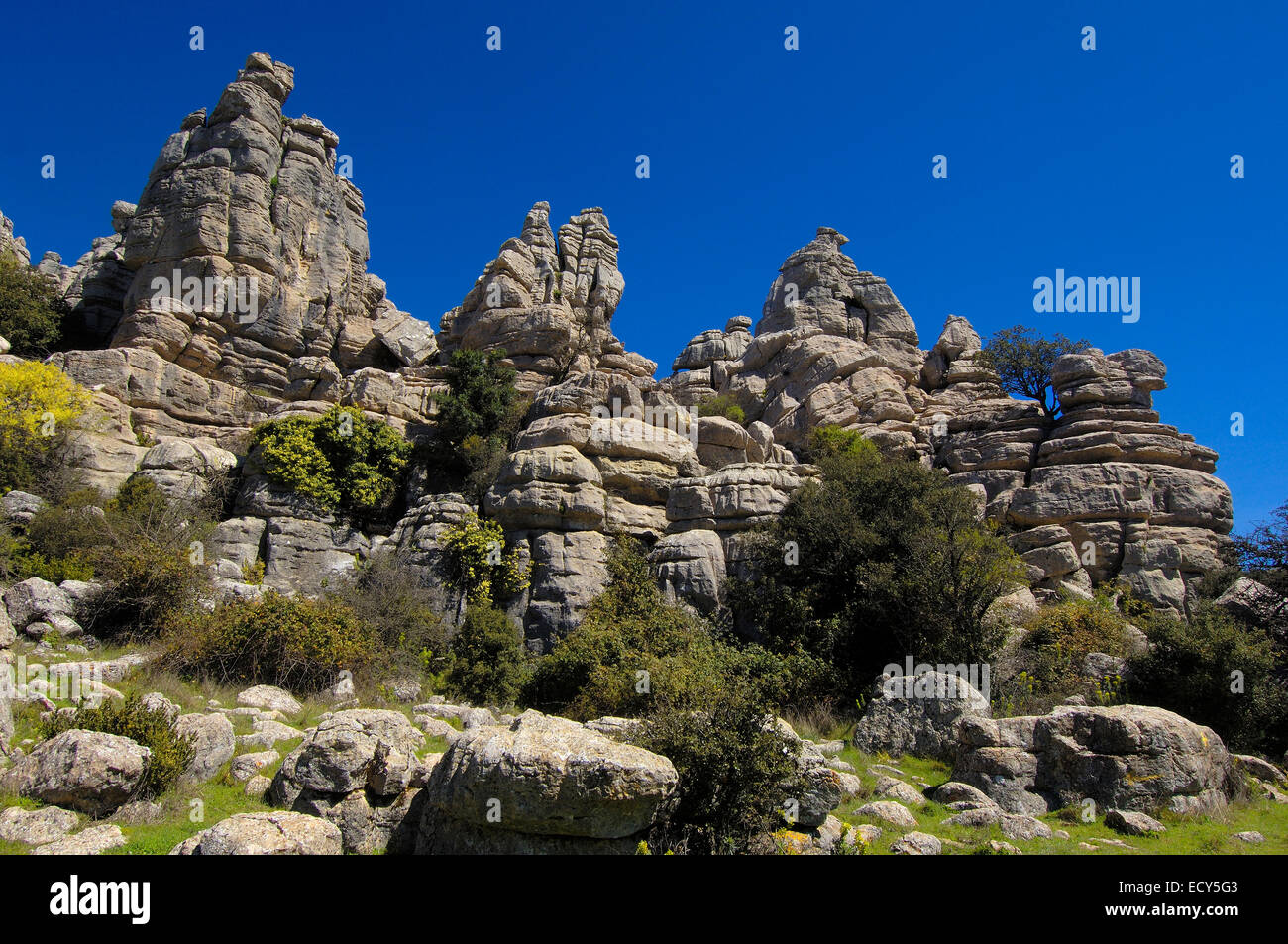 Erosion, die Arbeit an Jura Kalksteine, Torcal de Antequera, Provinz Málaga, Andalusien, Spanien, Europa Stockfoto