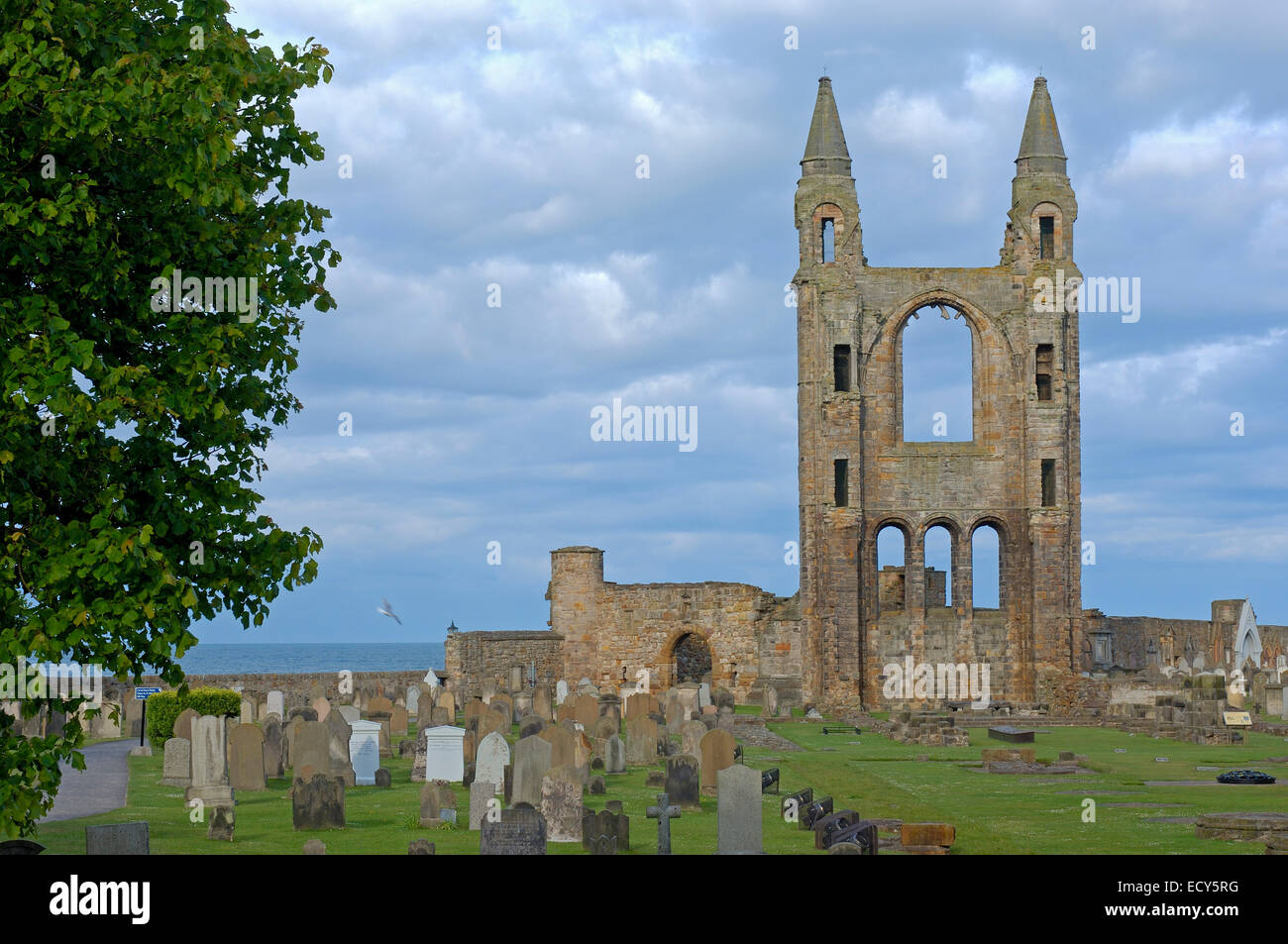 Ruinen der St. Herrschaft Kirche und Kathedrale, St. Andrews, Fife Region, Schottland, Vereinigtes Königreich, Europa Stockfoto