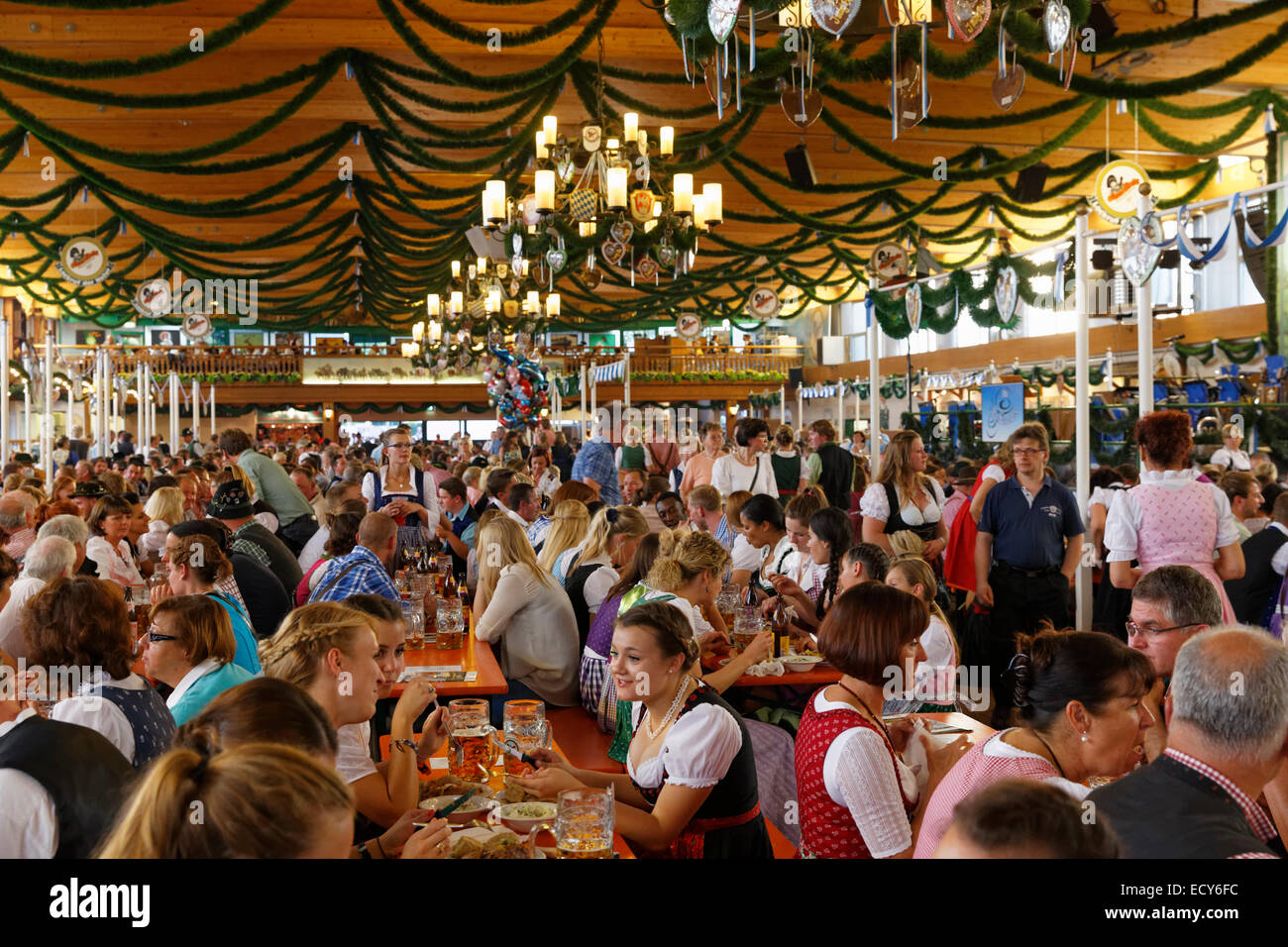 Bierzelt auf dem Rosenheimer Herbstfest, Rosenheim, Upper Bavaria, Bavaria, Germany Stockfoto