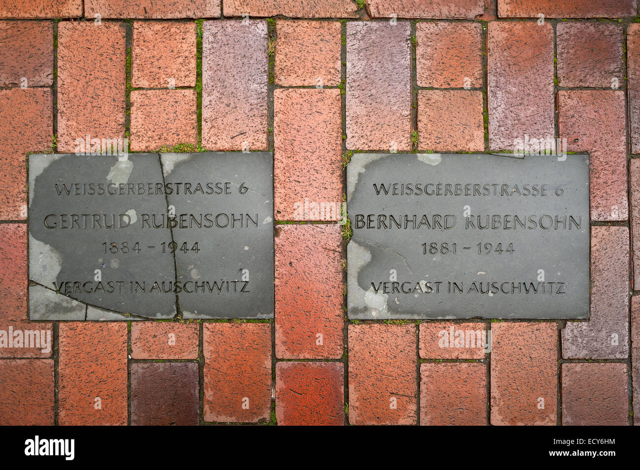 Zwei "stolpern Blöcke" in Erinnerung an ermordete jüdischer Bürger während der NS-Zeit 1933-1945, Rostock Stockfoto