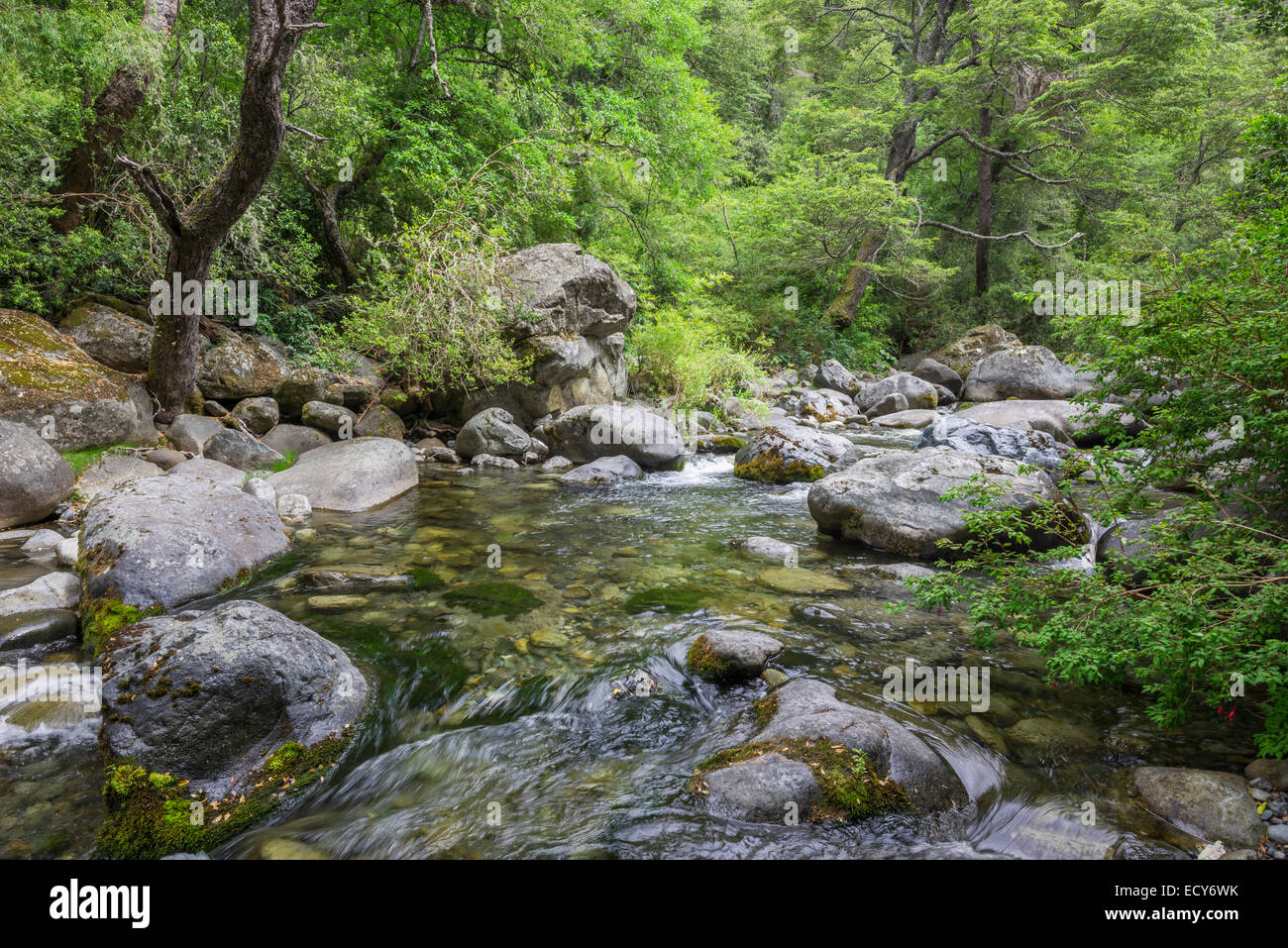 Estero armenilo Bach, Parque tricahue, San Clemente, Maule, Chile Stockfoto