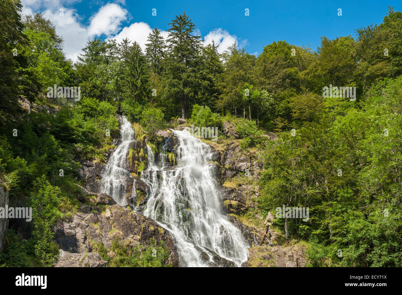 Todtnauer Wasserfälle, Todtnau, Schwarzwald, Baden-Württemberg, Deutschland Stockfoto