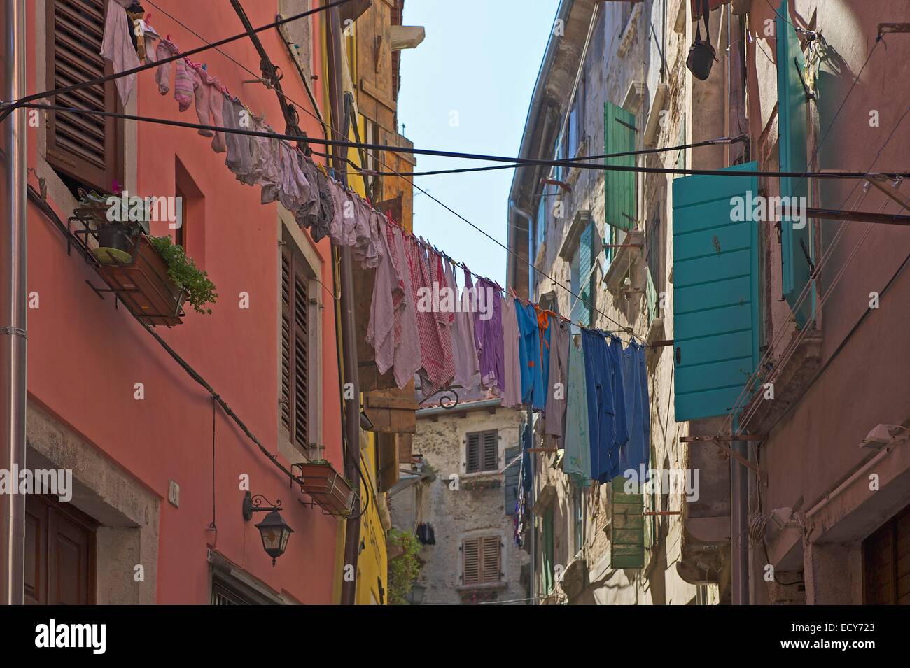 Wäsche trocknen auf der Linie in einer Gasse in der alten Stadt, Rovinj, Istrien, Kroatien Stockfoto