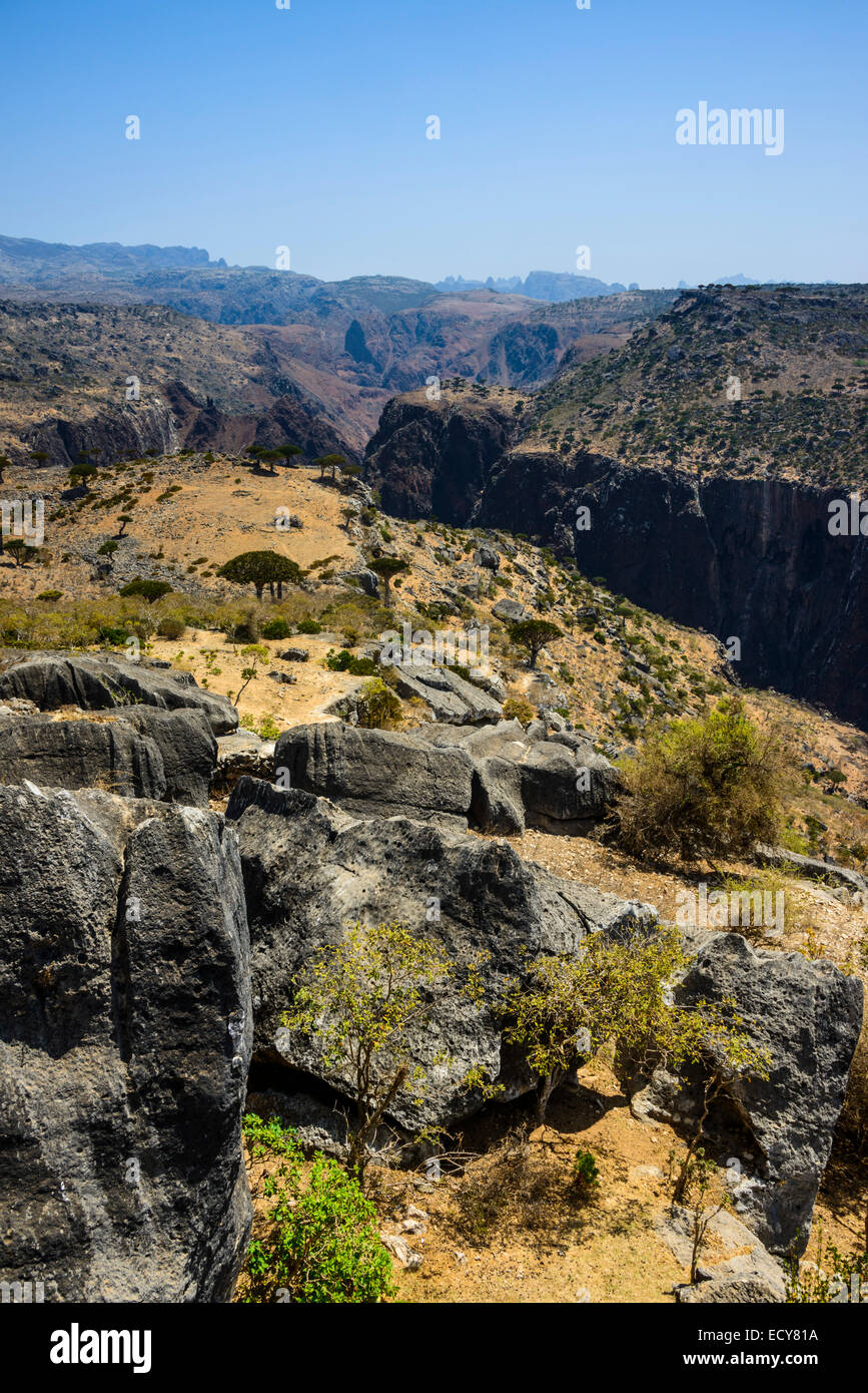 Riesigen Schlucht auf dem Dixsam Plateau, Sokotra, Jemen Stockfoto