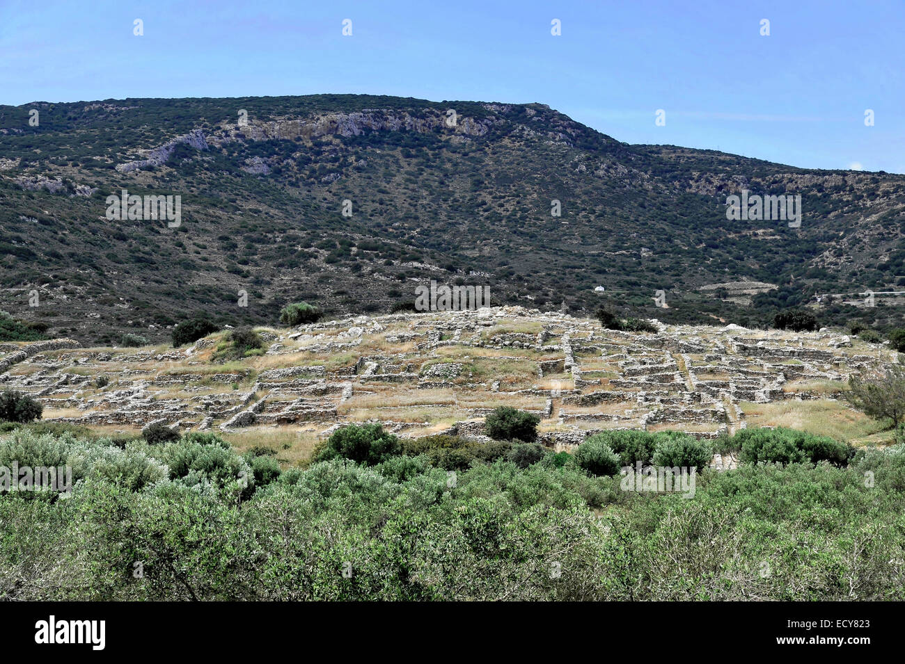 Minoische Siedlung Gourniá, archäologische Ausgrabungen, Gourniá, Kreta, Griechenland Stockfoto