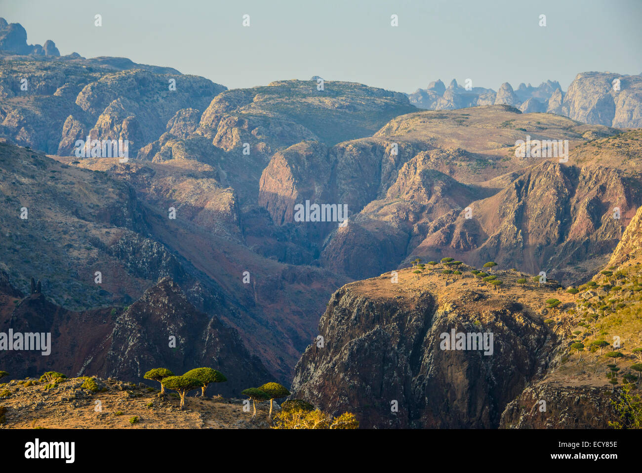 Riesigen Schlucht auf dem Dixsam Plateau, Sokotra, Jemen Stockfoto