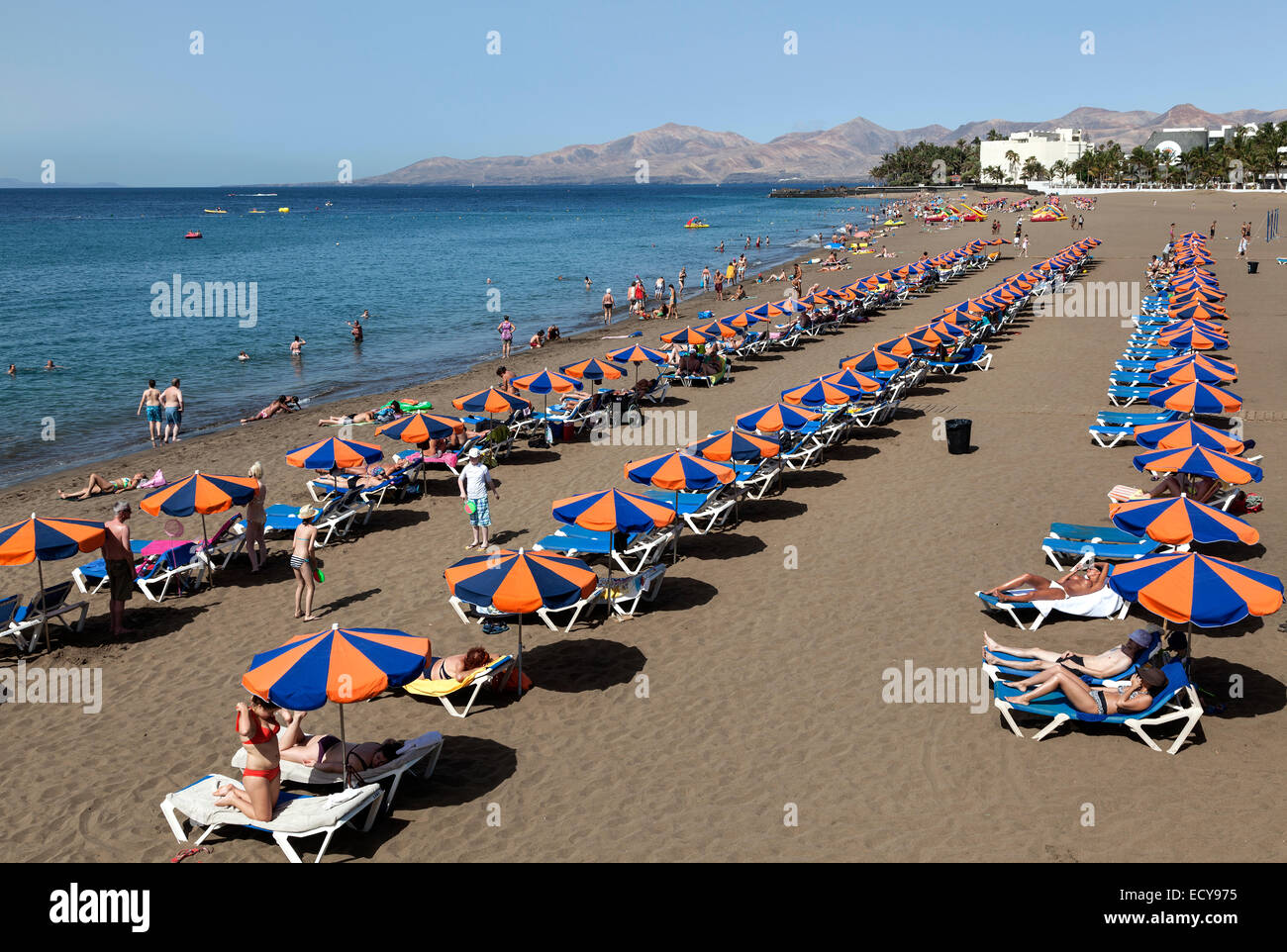 Playa Blanca Strand mit Sonnenschirme und Liegestühle, hinter den Bergen von Los Ajaches, Puerto del Carmen, Lanzarote Stockfoto