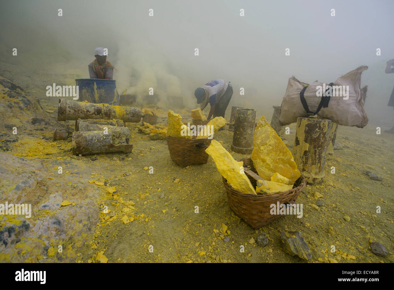 Schwefel-Bergleute der Kawah Ijen, Java, Indonesien Stockfoto