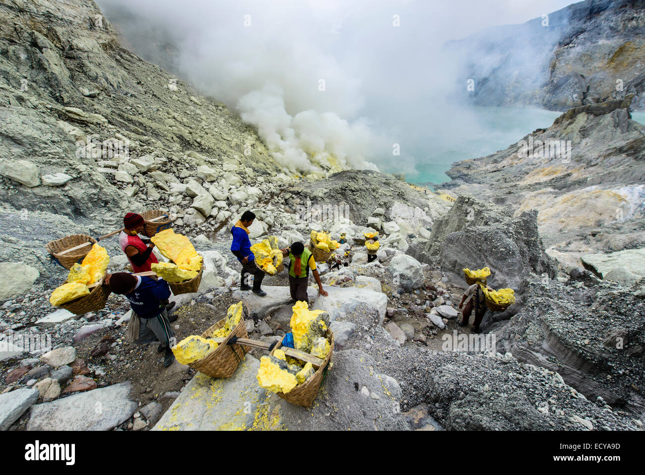 Schwefel-Bergleute der Kawah Ijen, Java, Indonesien Stockfoto