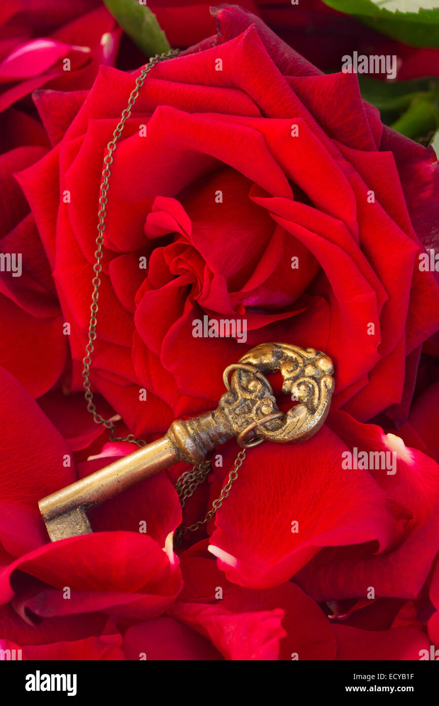 Schlüssel mit dem Herzen als Symbol der Liebe Stockfotografie Alamy