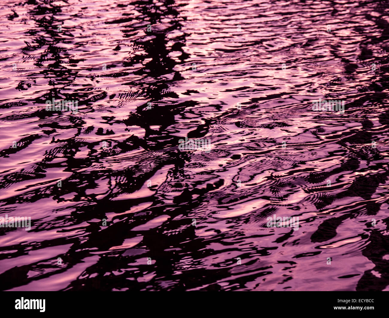 Violet Wasser mit kleinen Wellen (Hintergrund) Stockfoto