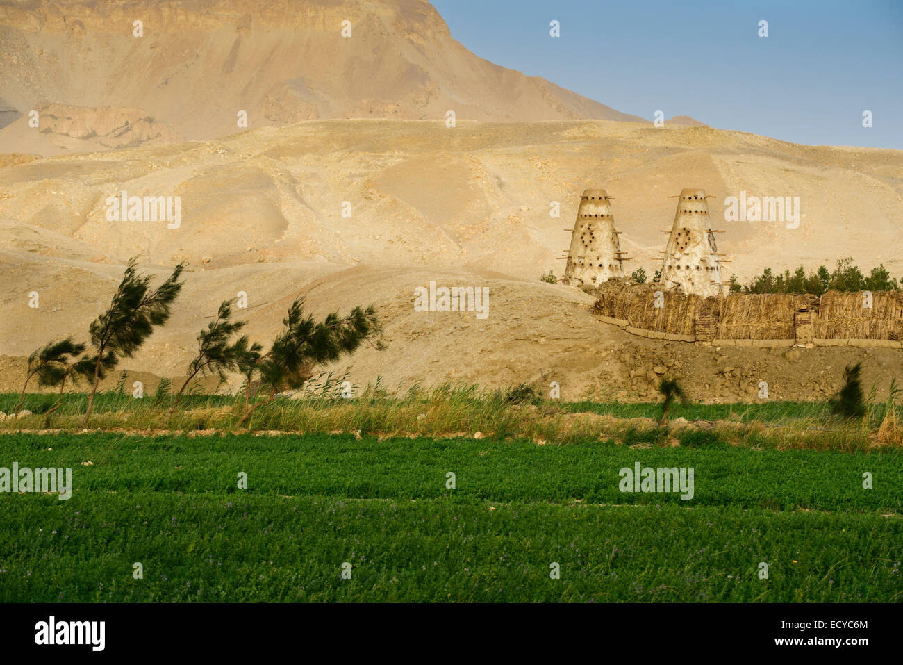 Türme, Al-Qasr Oase, Ägypten Stockfoto