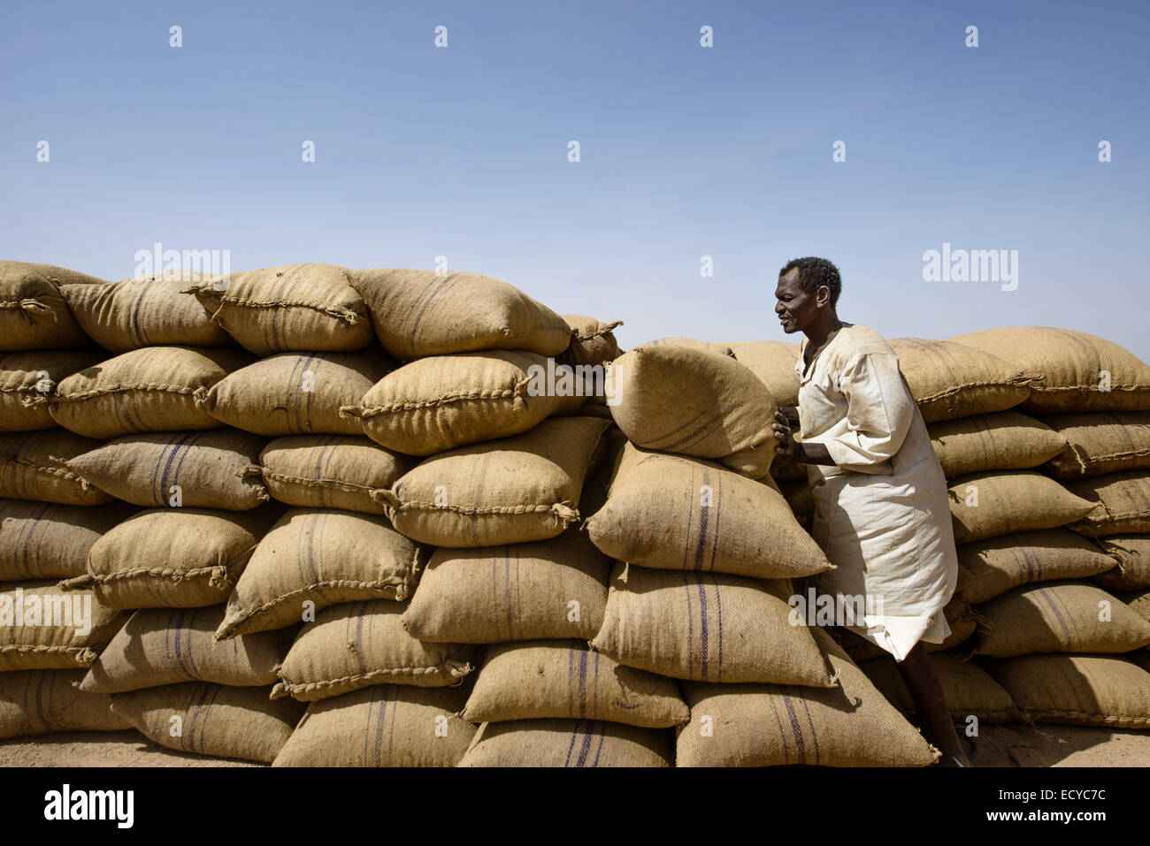 Sudanesische Mann entladen Säcke Faba Bohnen in der Wüste Sahara, Sudan Stockfoto