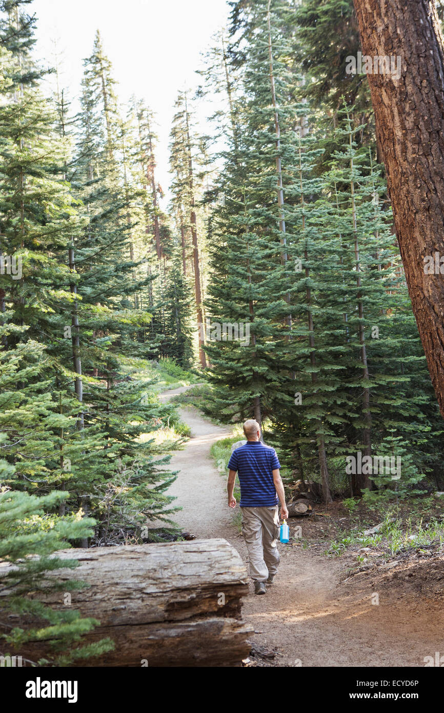 Mann auf Schmutz Trail im Wald wandern Stockfoto