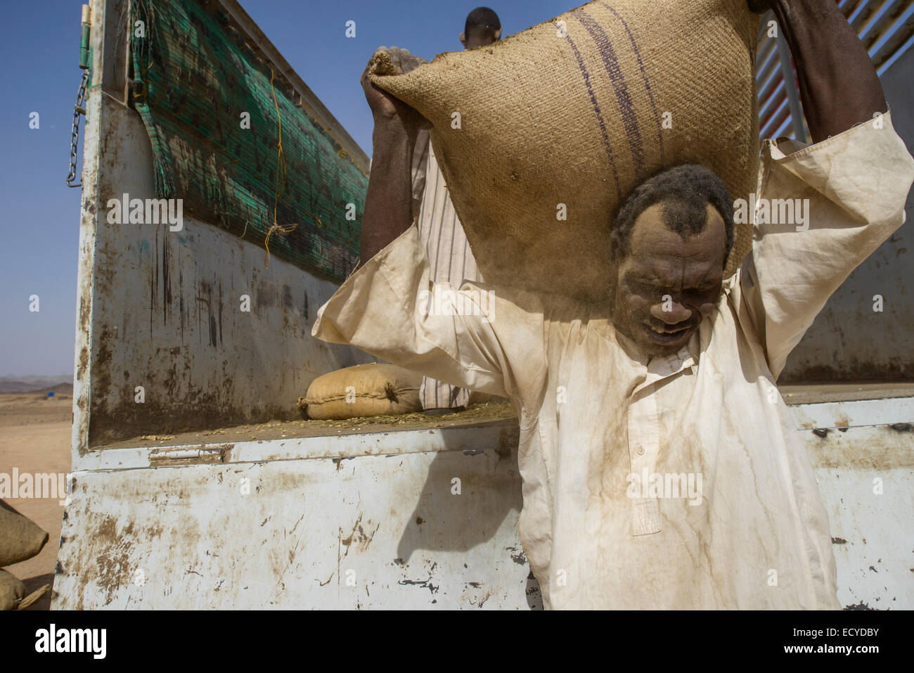 Sudanesische Mann entladen Säcke Faba Bohnen in der Wüste Sahara, Sudan Stockfoto