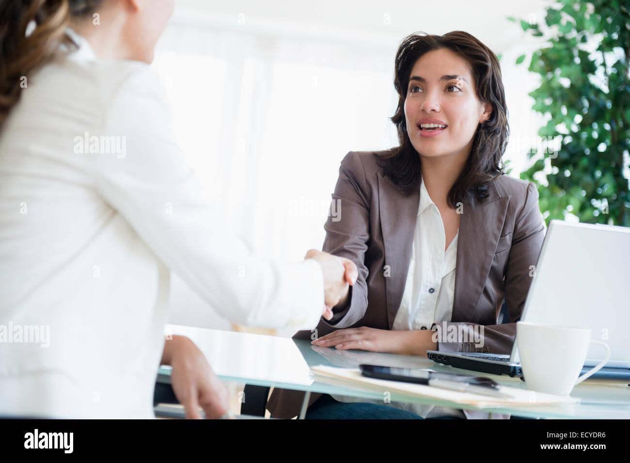 Hispanische Geschäftsfrauen Händeschütteln im Büro Stockfoto