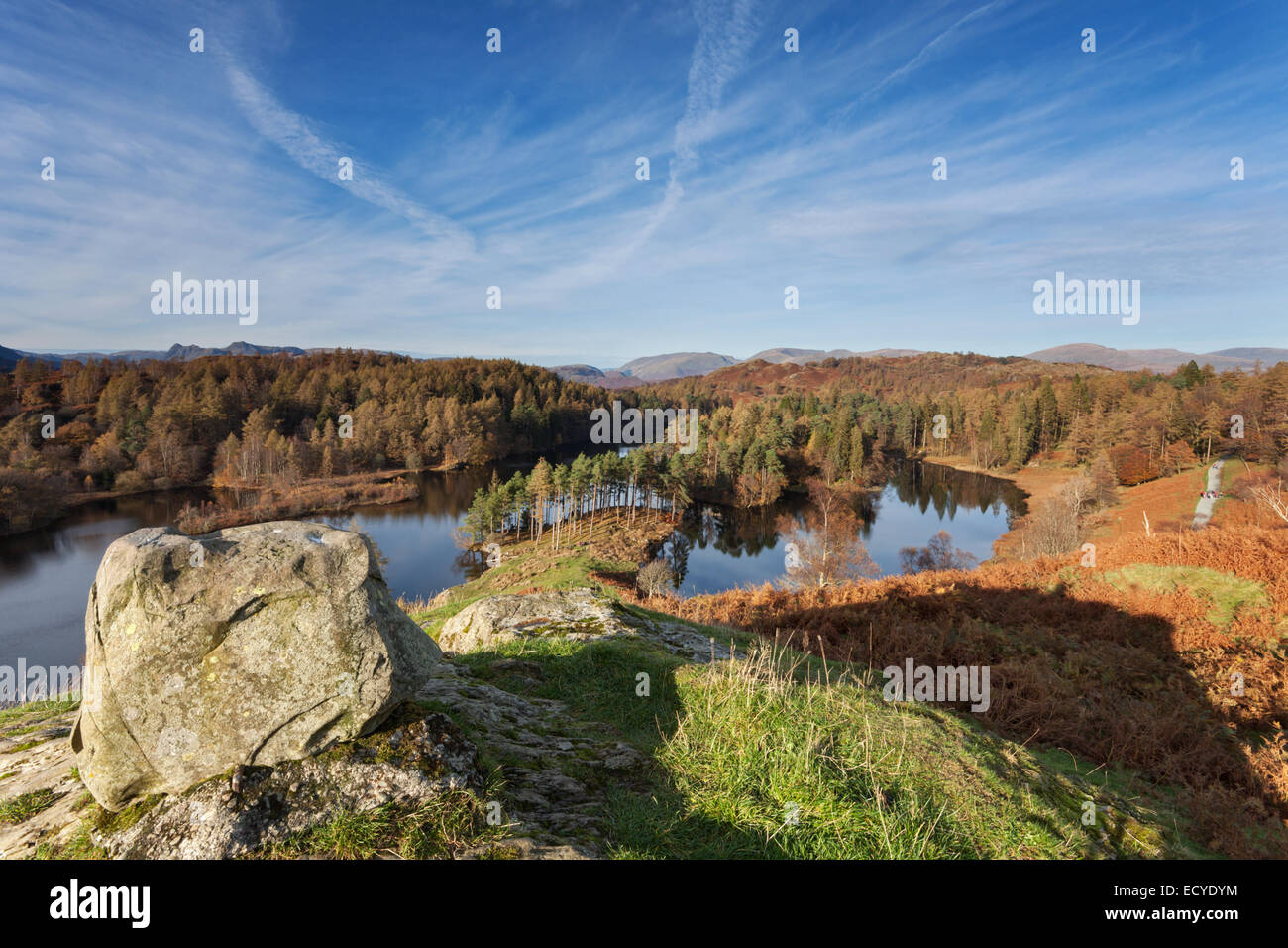 Tarn Hows Sicht Lake District UK Stockfoto