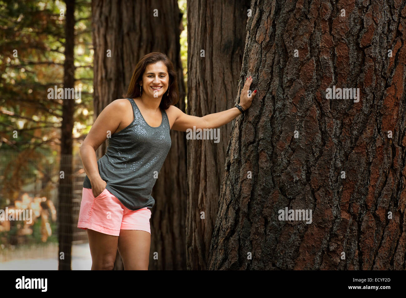 Hispanic Frau stützte sich auf riesigen Baum Stockfoto