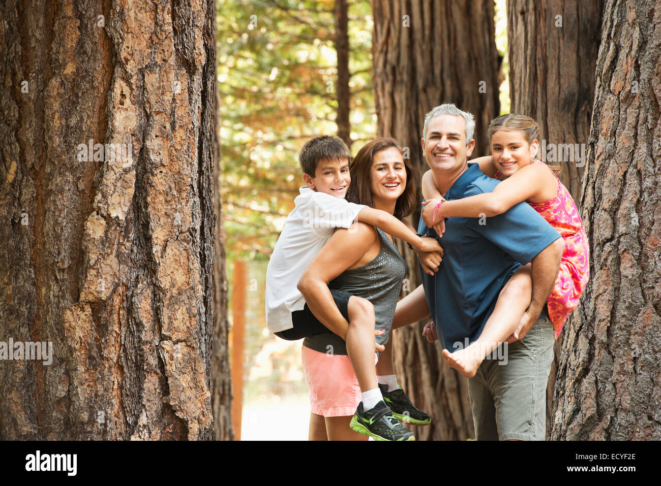 Eltern mit Kindern Huckepack im Wald Stockfoto