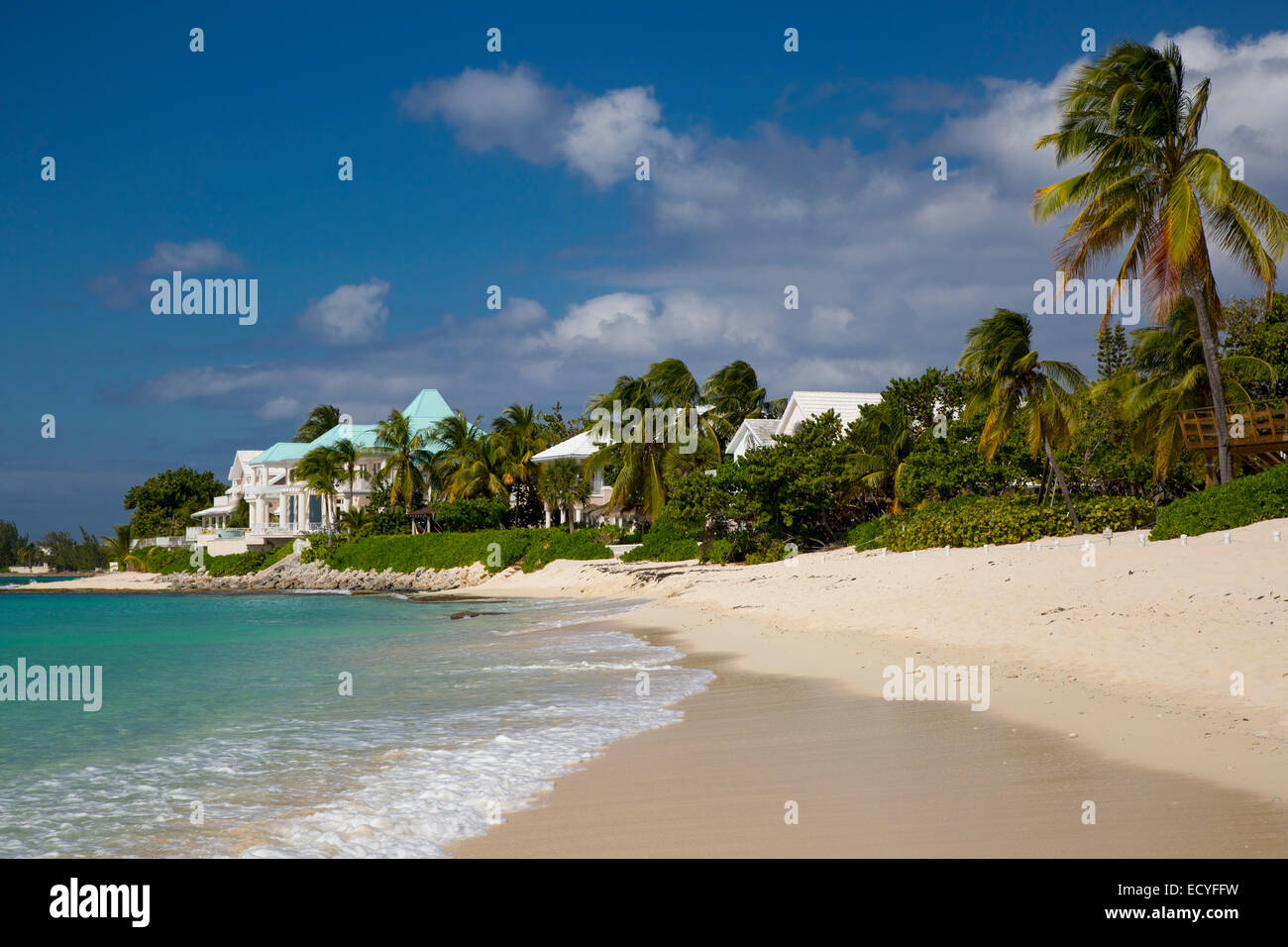 Palmen Sie und Luxus-Wohnungen entlang Seven Mile Beach, Grand Cayman, Cayman-Inseln, West Indies Stockfoto