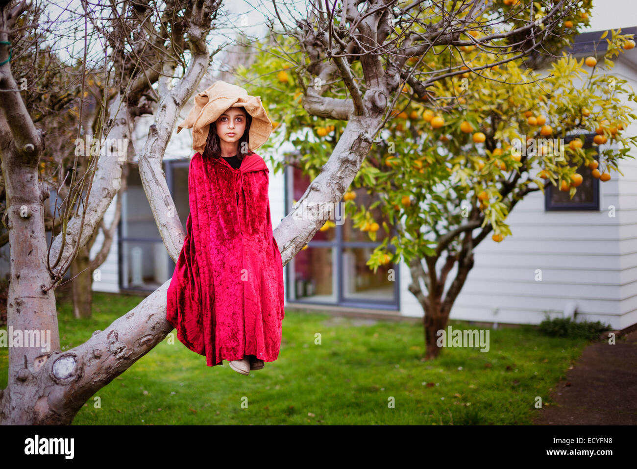 Gemischte Rassen Mädchen im Hexenkostüm im Baum sitzen Stockfoto