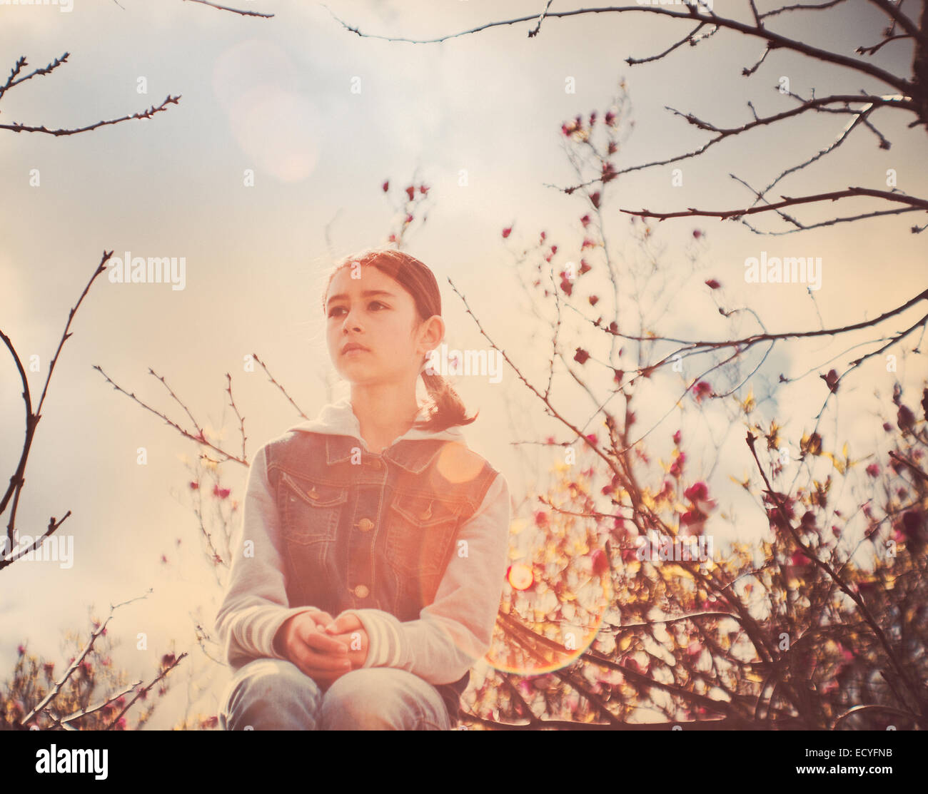 Gemischte Rassen Mädchen sitzt im Baum im freien Stockfoto