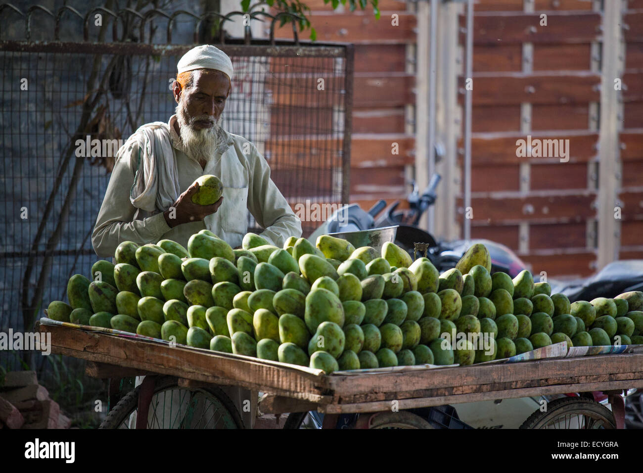 Muslimische Mango Anbieter in Delhi, Indien Stockfoto