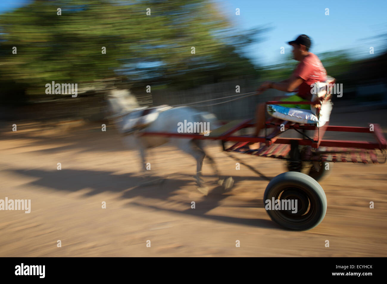 Lagunen, Brasilien - 6. Oktober 2013: Brasilianische Mann Laufwerke einfach Pferd Buggy auf abgelegenen Dorf Schmutz Weg. Stockfoto