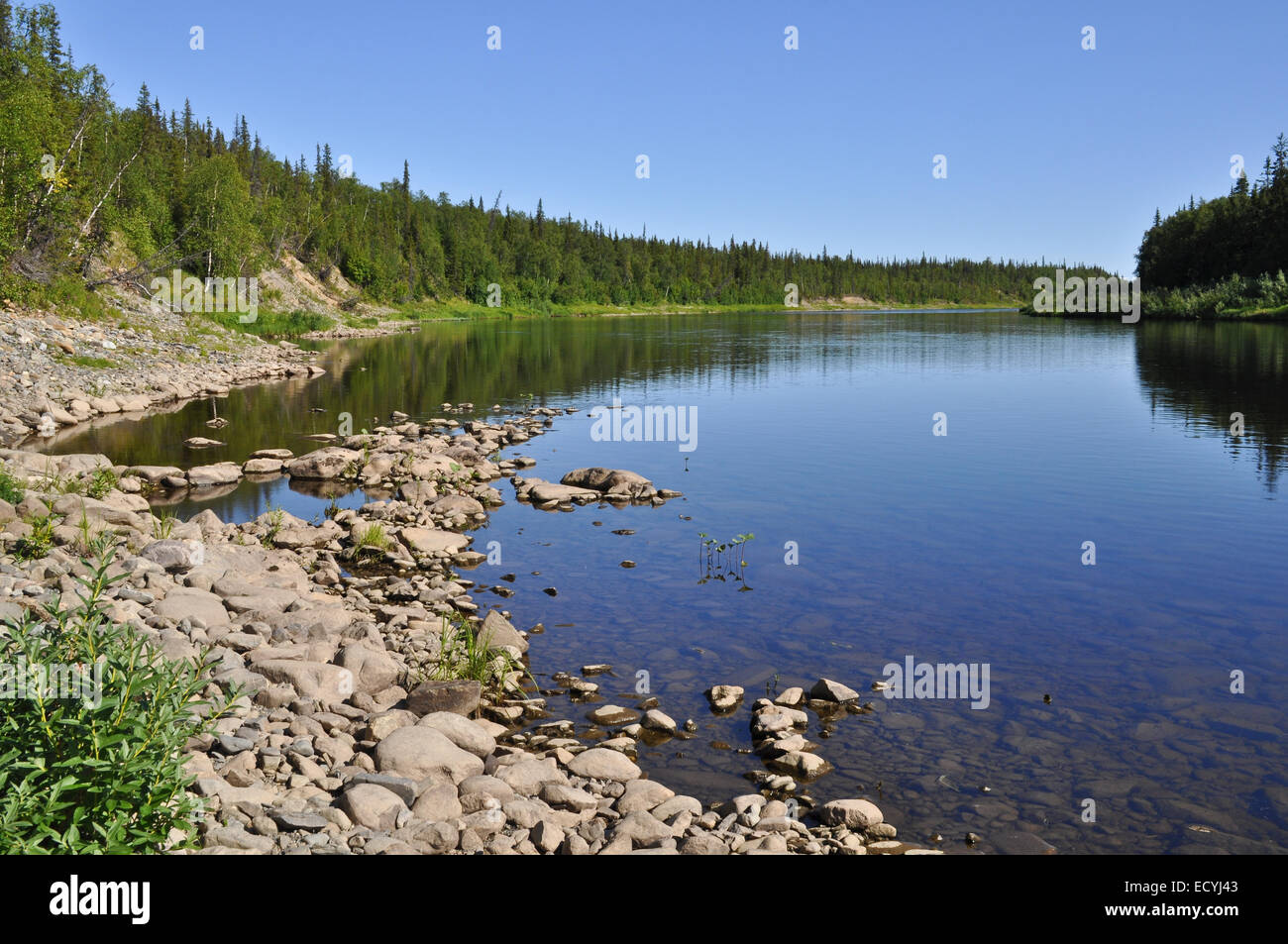 Flusslandschaft im Ural. Fluss-Polar-Ural - Paga an einem sonnigen Sommertag. Stockfoto
