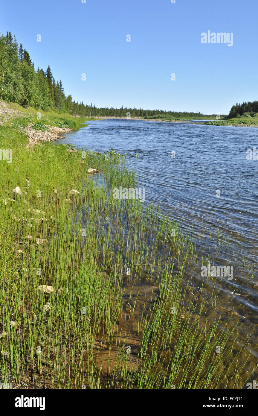 Flusslandschaft im Ural. Fluss-Polar-Ural - Paga an einem sonnigen Sommertag. Stockfoto
