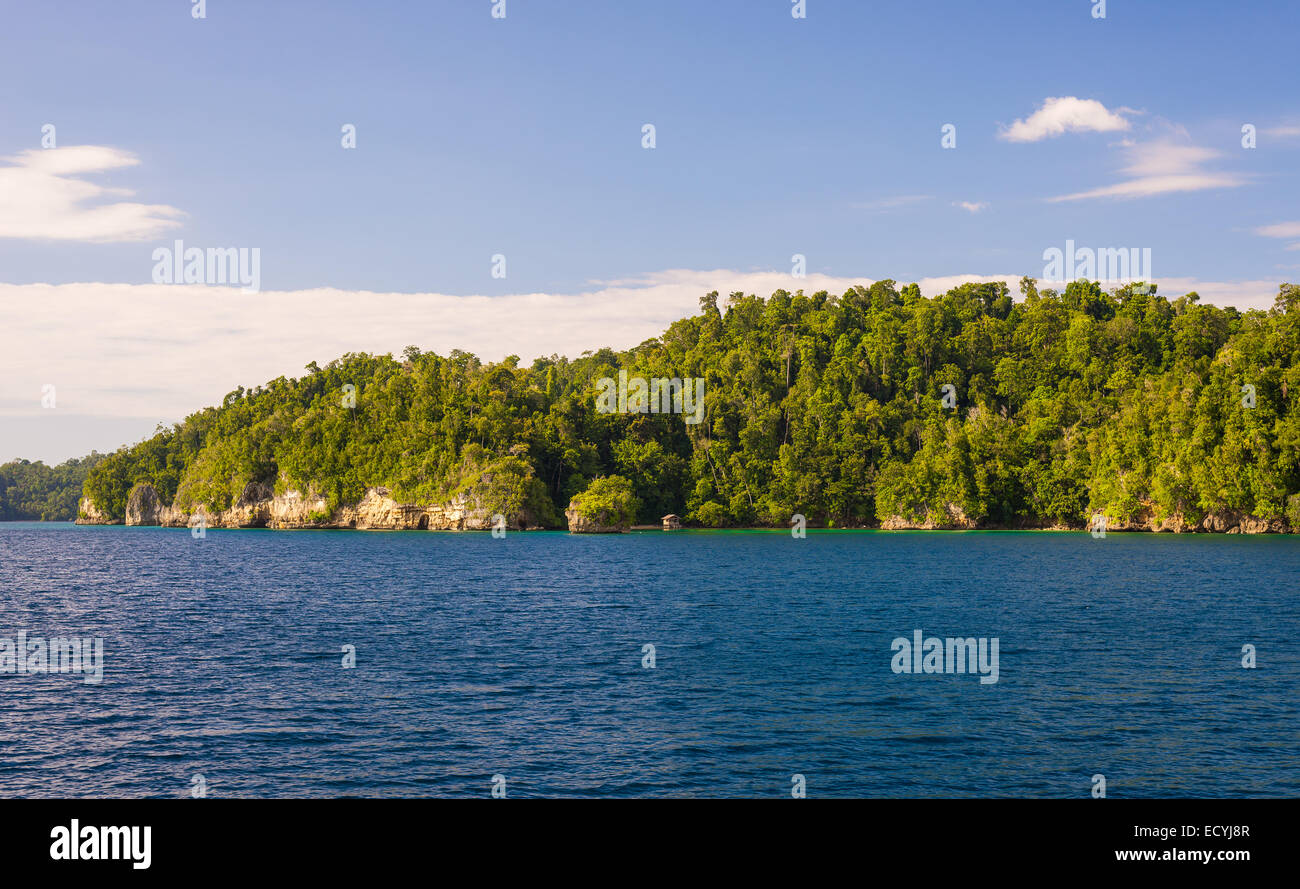 Felsige Küste der Insel bedeckt von dichtem Dschungel in das blaue Meer der entfernten Togean Islands (oder Togian Inseln), zentrale Sula Stockfoto