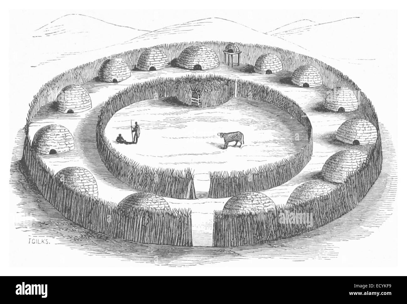 Ein Kraal ist ein traditionelles afrikanisches Gehege, das typischerweise für Viehzucht verwendet wird und in vielen afrikanischen Gesellschaften ein bedeutendes kulturelles und architektonisches Merkmal ist. Stockfoto