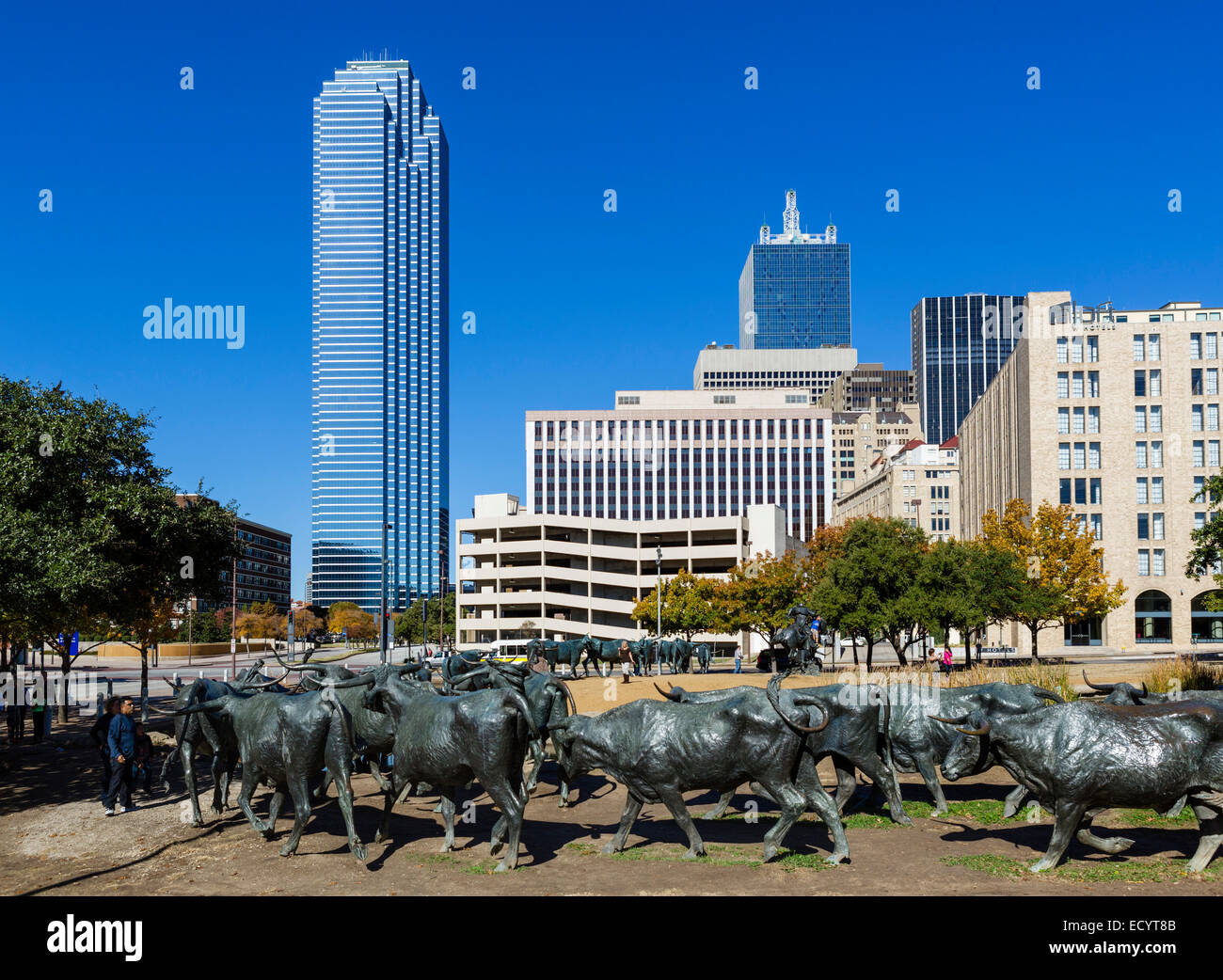 Cattle Drive Skulpturen mit Skyline der Innenstadt hinter Pioneer Plaza, Dallas, Texas, USA Stockfoto