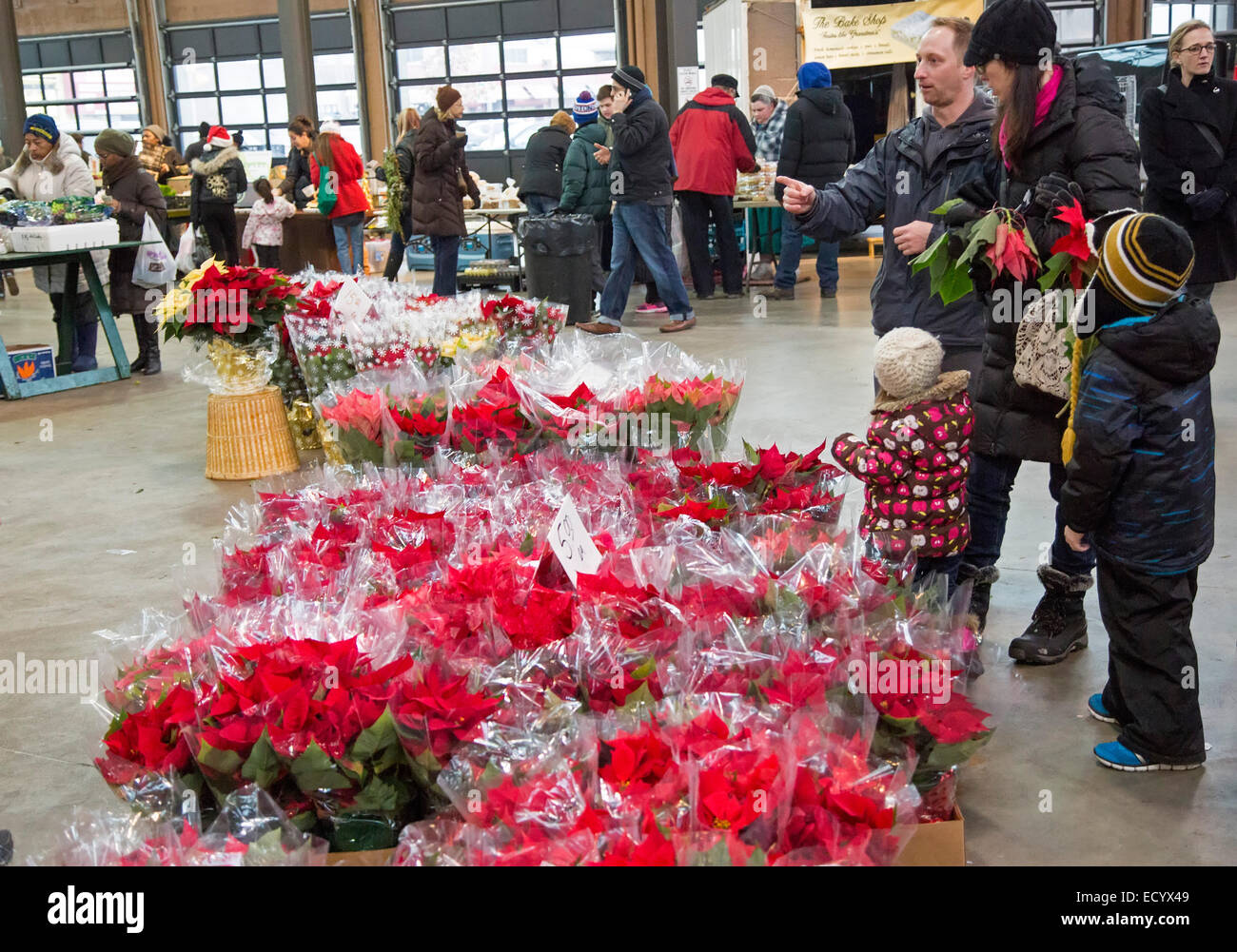 Detroit, Michigan - eine Familie kauft Weihnachtssterne für Weihnachten am osteuropäischen Markt. Die Farmers Market ist seit 1891 tätig. Stockfoto