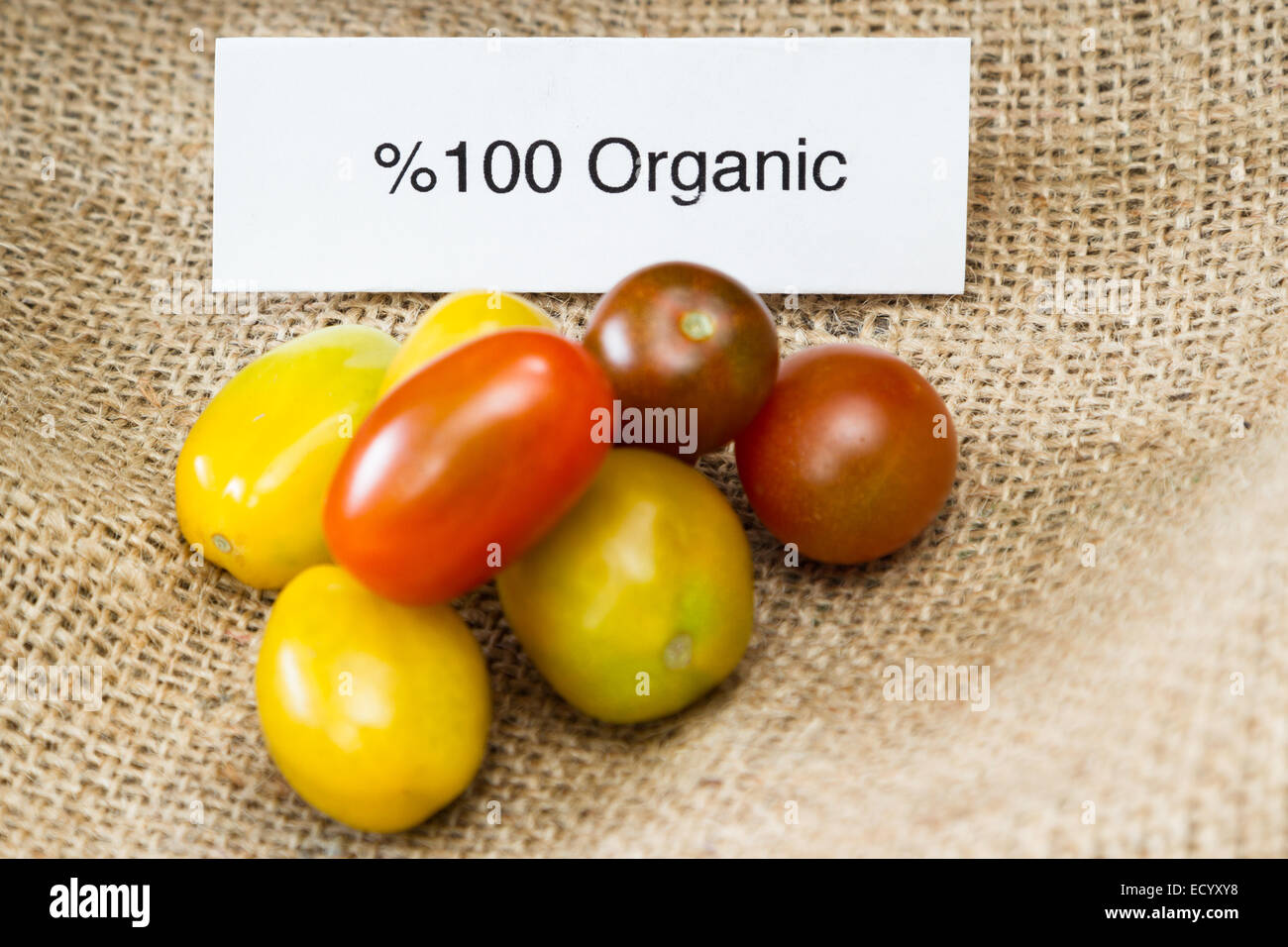 Nahaufnahme von Tomaten mit Bio-Siegel für Verbraucherinformation Stockfoto