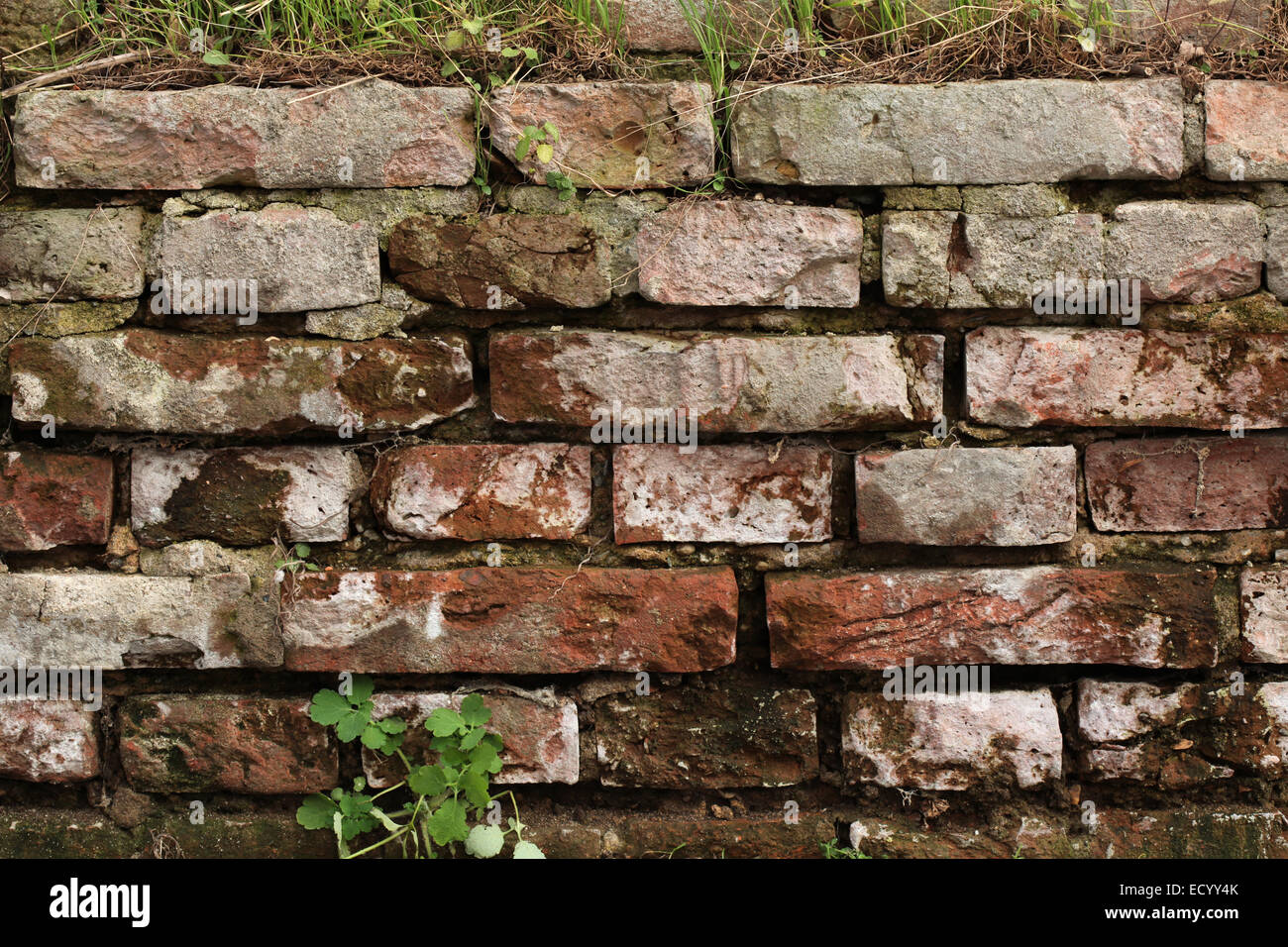 Alte Mauer. Hintergrundtextur. Stockfoto