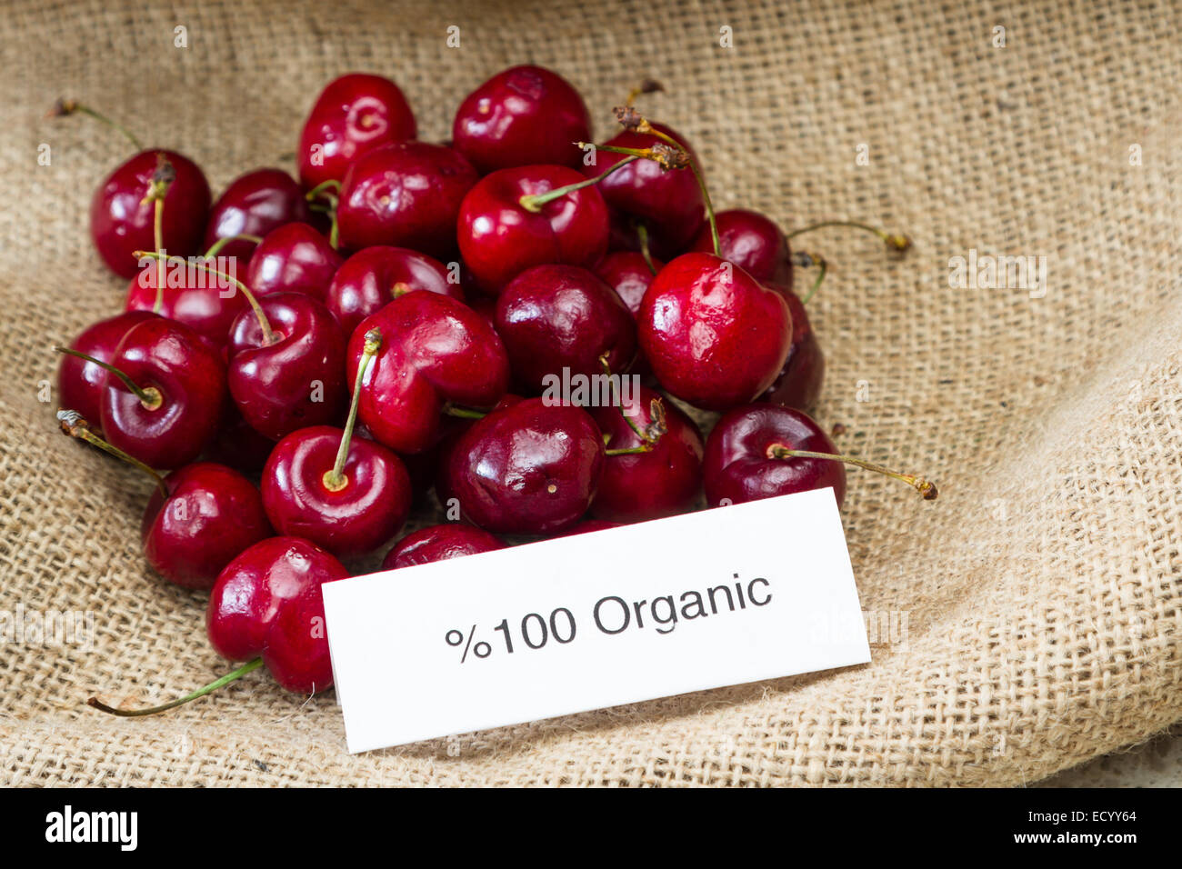 Lebensmittelkennzeichnung-Konzept mit leuchtend roten Kirschen und ein Bio-Siegel Stockfoto