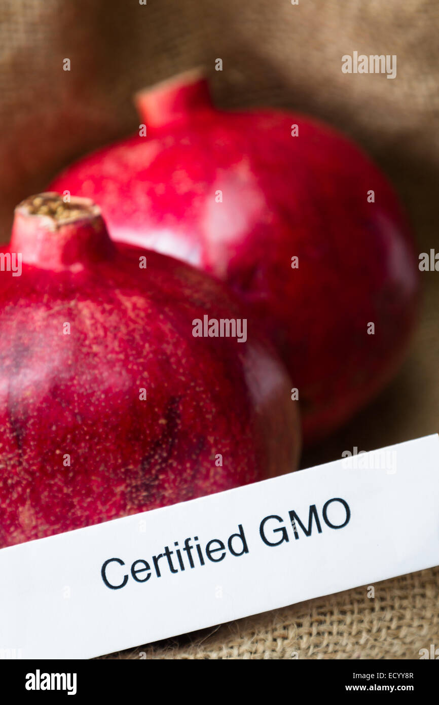 Lebensmittelkennzeichnung-Konzept mit leuchtend roten Granatäpfel und ein GVO-label Stockfoto