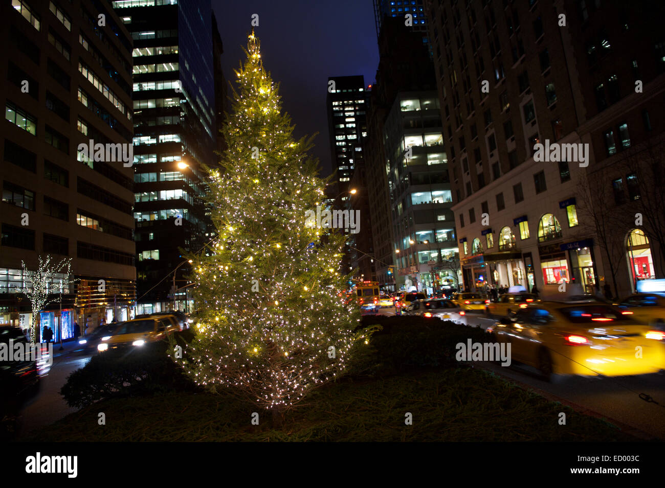 Urlaub Weihnachtsbaum Glühen vom Center Park Avenue in Midtown Manhattan, New York City Stockfoto