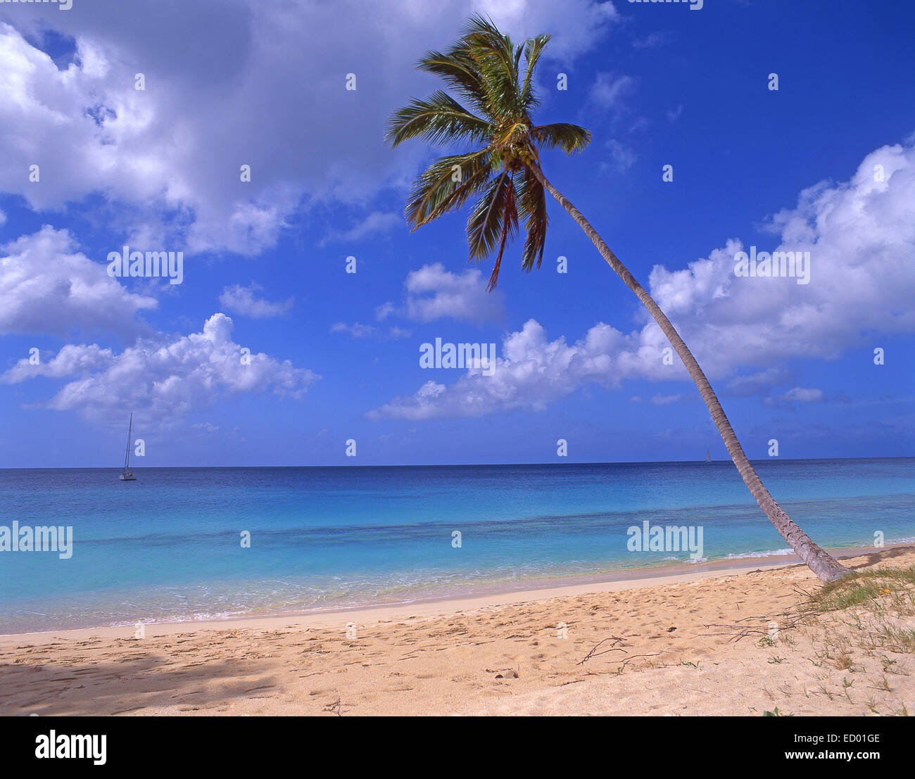 Darkwood Beach, Saint Mary Parish, Antigua, Antigua und Barbuda, kleine Antillen, Caribbean Stockfoto